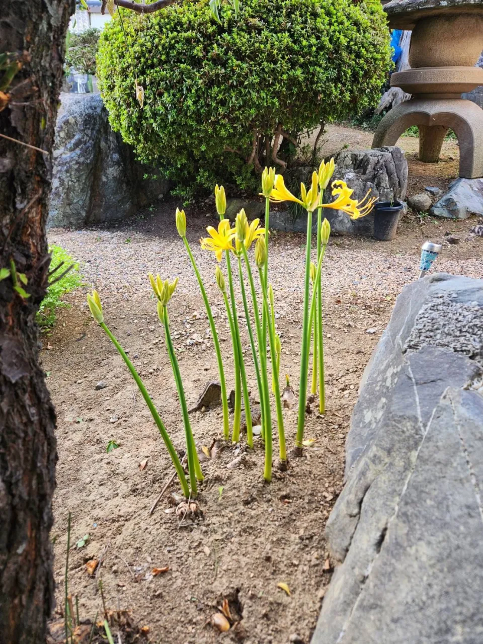 9月24日木曜日🍂