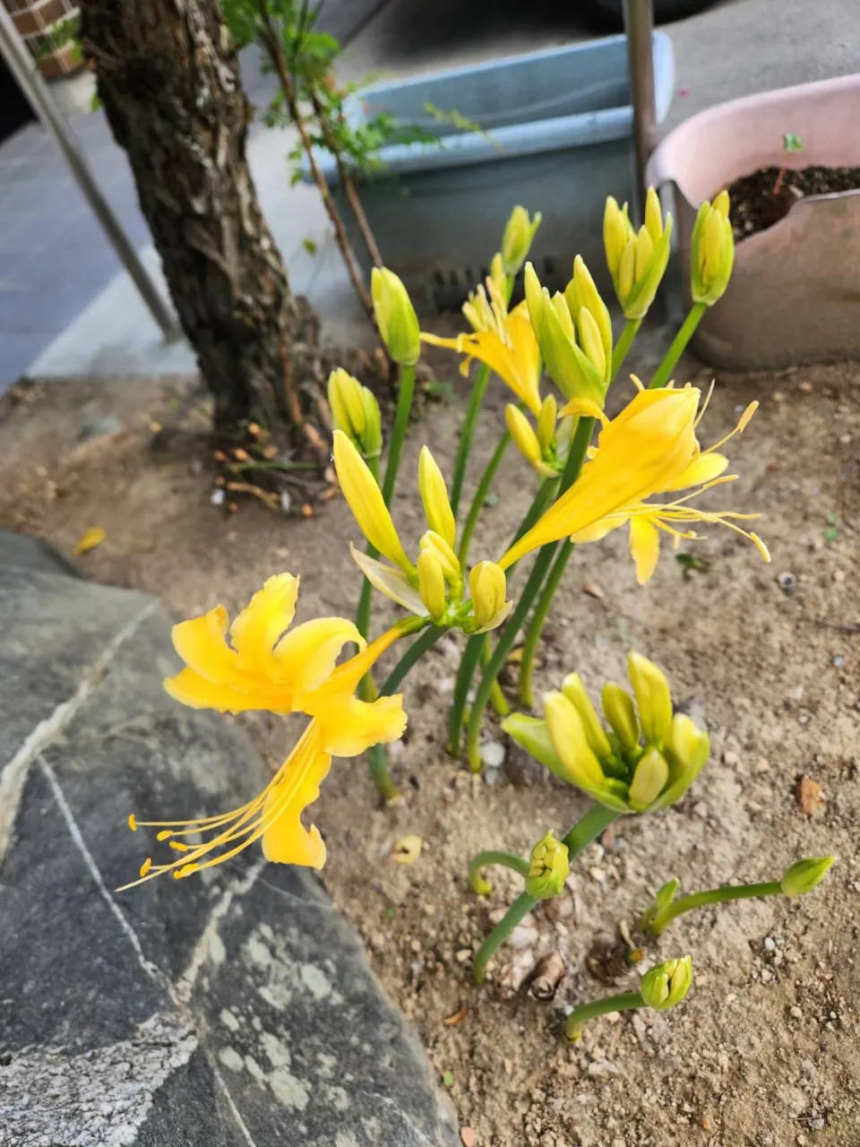 9月24日木曜日🍂